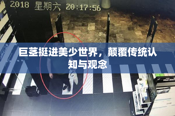 巨茎挺进美少世界，颠覆传统认知与观念