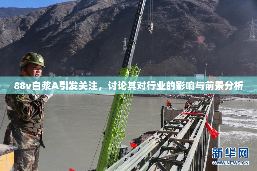 88v白浆A引发关注，讨论其对行业的影响与前景分析