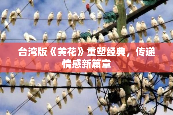 台湾版《黄花》重塑经典，传递情感新篇章