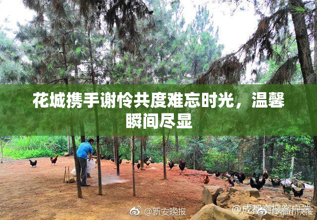 花城携手谢怜共度难忘时光，温馨瞬间尽显