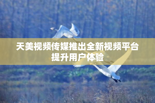 天美视频传媒推出全新视频平台提升用户体验