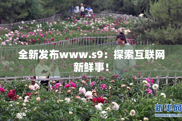 全新发布www.s9：探索互联网新鲜事！