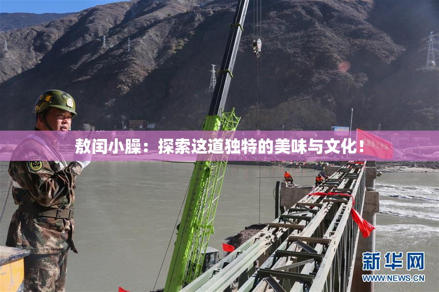 敖闰小臊：探索这道独特的美味与文化！