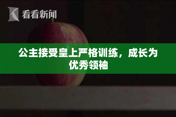 公主接受皇上严格训练，成长为优秀领袖