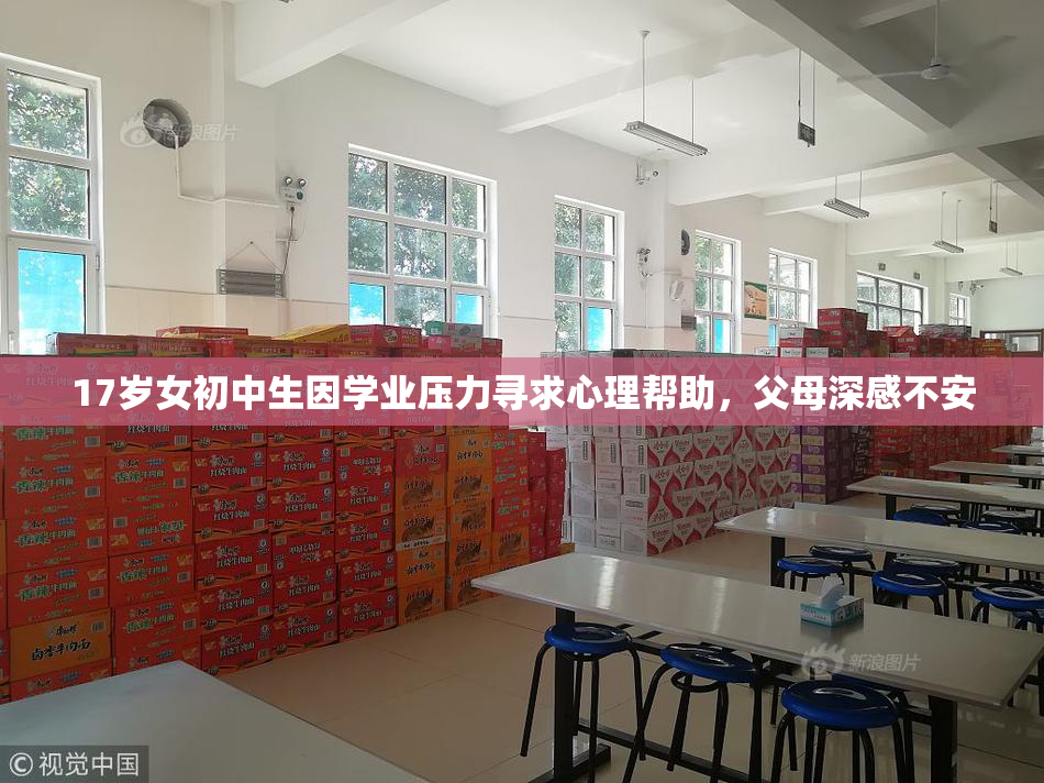 17岁女初中生因学业压力寻求心理帮助，父母深感不安
