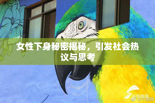 女性下身秘密揭秘，引发社会热议与思考