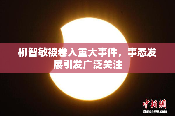 柳智敏被卷入重大事件，事态发展引发广泛关注