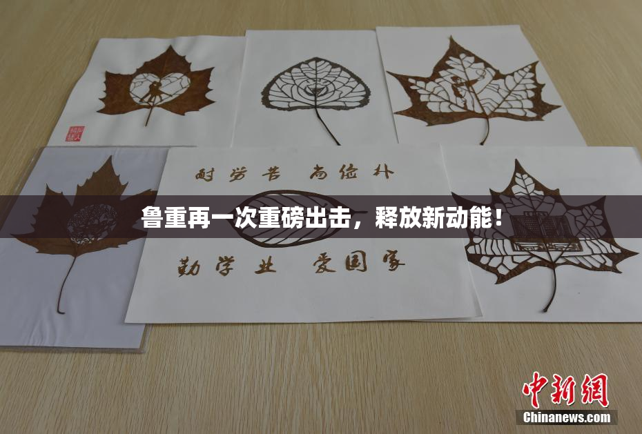 鲁重再一次重磅出击，释放新动能！
