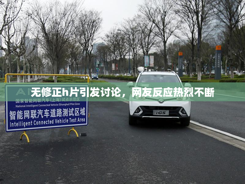 无修正h片引发讨论，网友反应热烈不断