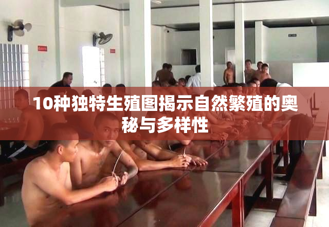 10种独特生殖图揭示自然繁殖的奥秘与多样性