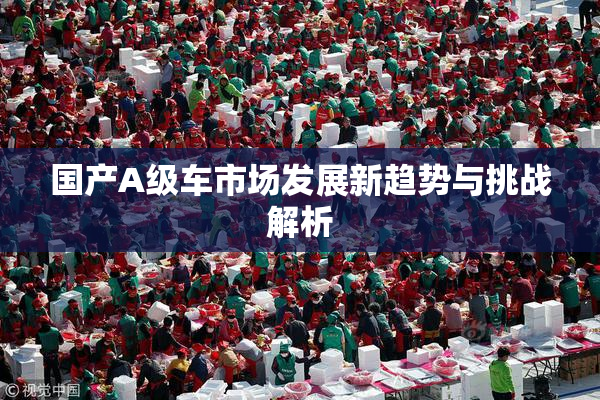 国产A级车市场发展新趋势与挑战解析