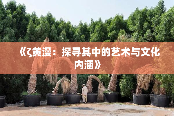 《ζ黄漫：探寻其中的艺术与文化内涵》