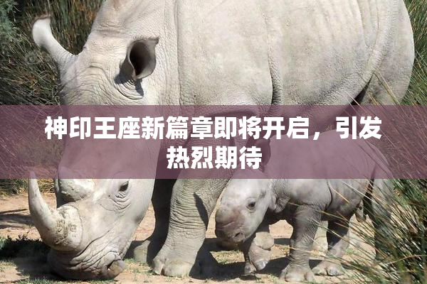 神印王座新篇章即将开启，引发热烈期待