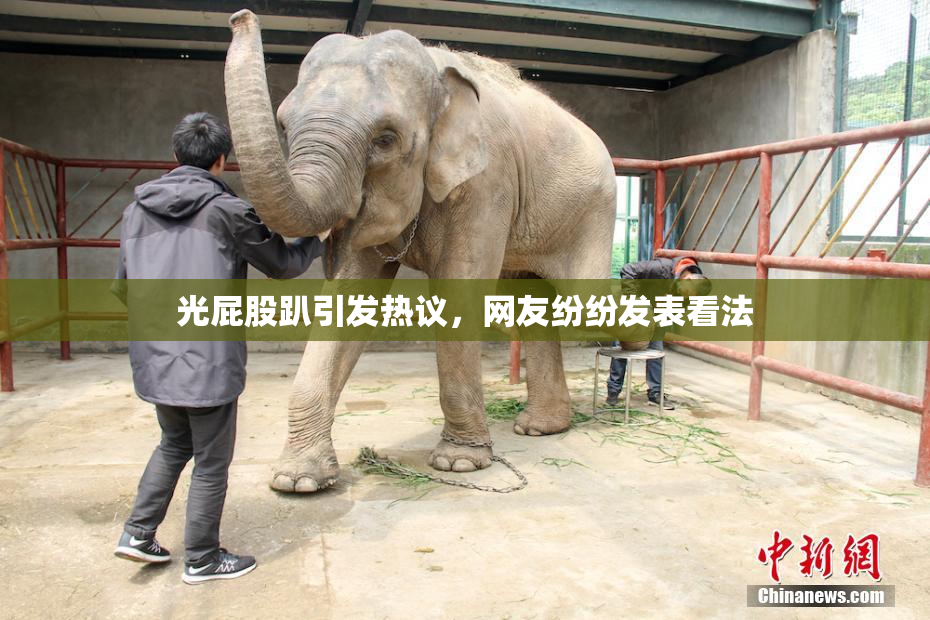 光屁股趴引发热议，网友纷纷发表看法