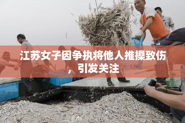 江苏女子因争执将他人推搡致伤，引发关注