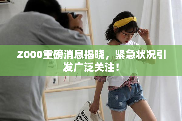 Z000重磅消息揭晓，紧急状况引发广泛关注！