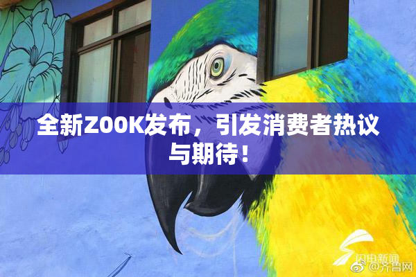 全新Z00K发布，引发消费者热议与期待！