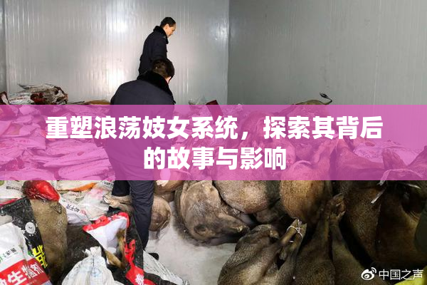 重塑浪荡妓女系统，探索其背后的故事与影响