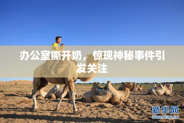 办公室撕开奶，惊现神秘事件引发关注
