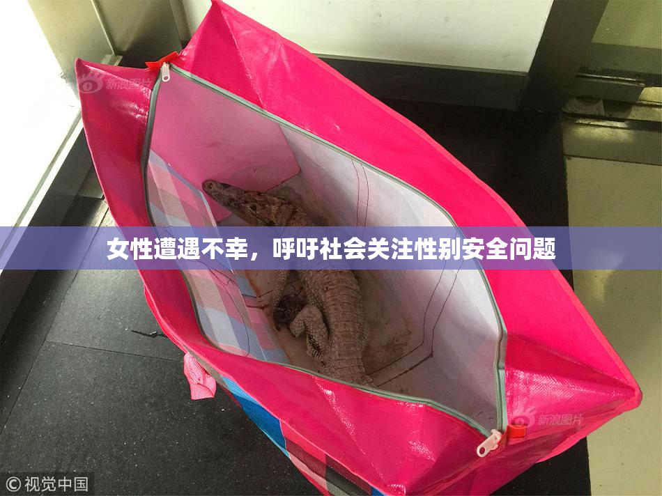 女性遭遇不幸，呼吁社会关注性别安全问题