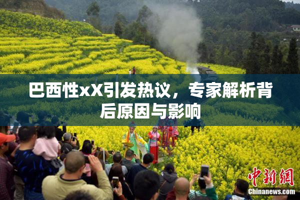 巴西性xX引发热议，专家解析背后原因与影响
