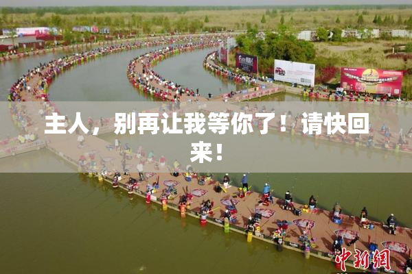 主人，别再让我等你了！请快回来！
