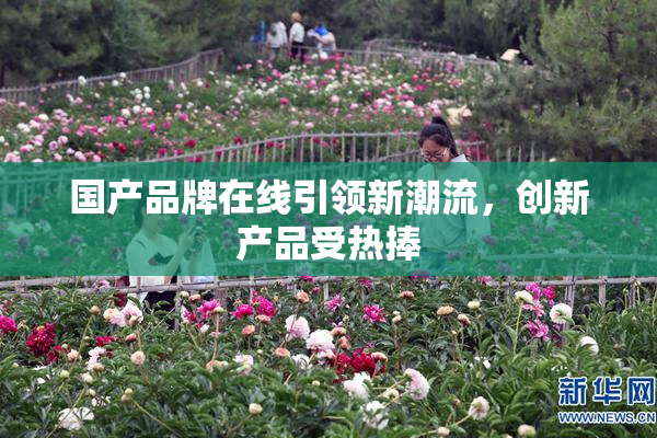 国产品牌在线引领新潮流，创新产品受热捧