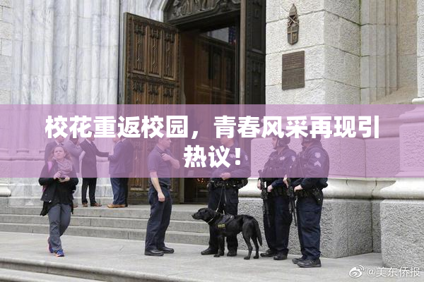 校花重返校园，青春风采再现引热议！