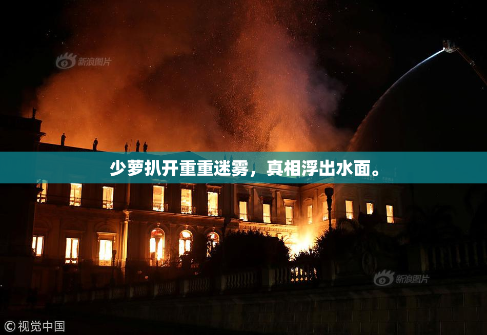 少萝扒开重重迷雾，真相浮出水面。