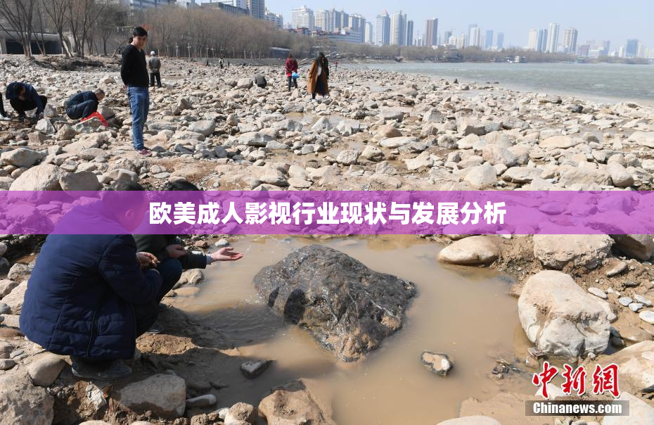 欧美成人影视行业现状与发展分析