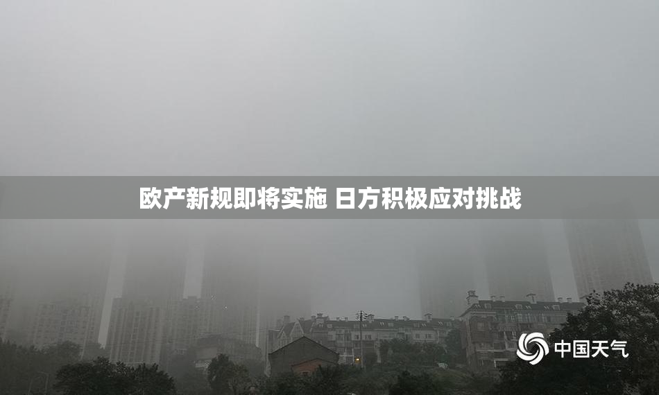 欧产新规即将实施 日方积极应对挑战