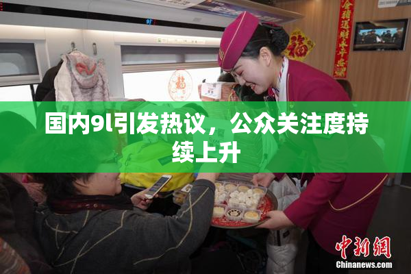 国内9l引发热议，公众关注度持续上升
