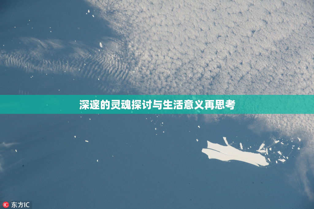 深邃的灵魂探讨与生活意义再思考