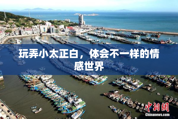 玩弄小太正白，体会不一样的情感世界