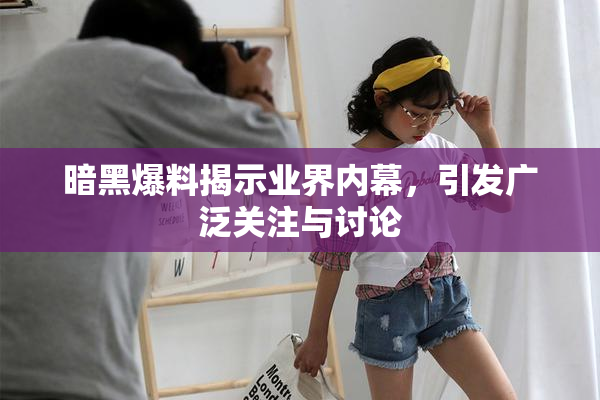 暗黑爆料揭示业界内幕，引发广泛关注与讨论