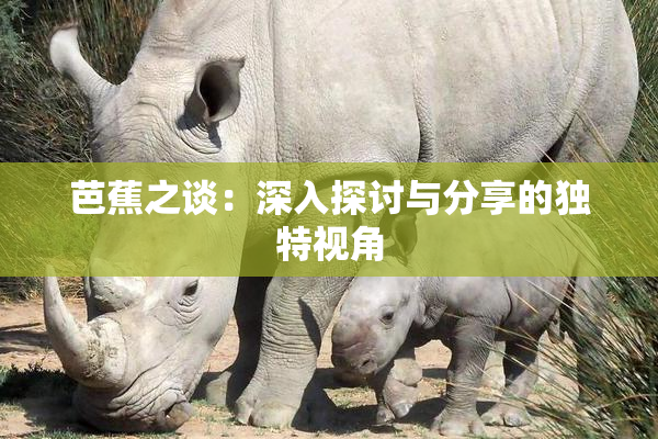 芭蕉之谈：深入探讨与分享的独特视角