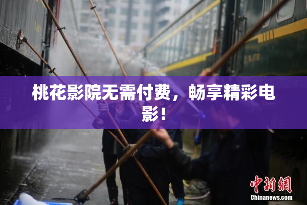 桃花影院无需付费，畅享精彩电影！