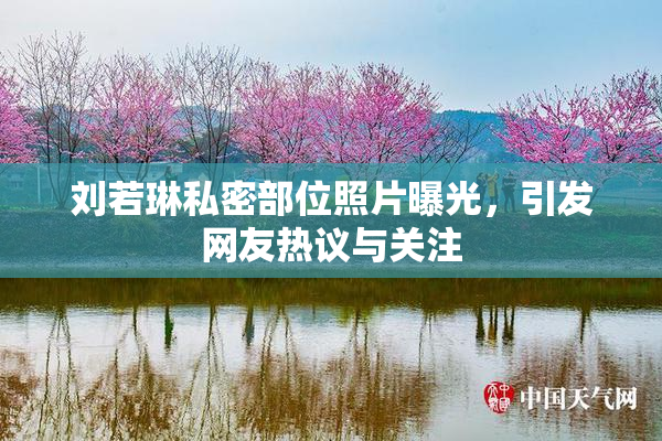 刘若琳私密部位照片曝光，引发网友热议与关注