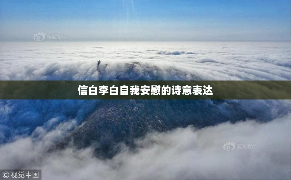 信白李白自我安慰的诗意表达