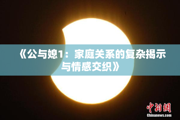 《公与媳1：家庭关系的复杂揭示与情感交织》