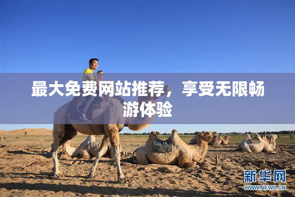 最大免费网站推荐，享受无限畅游体验