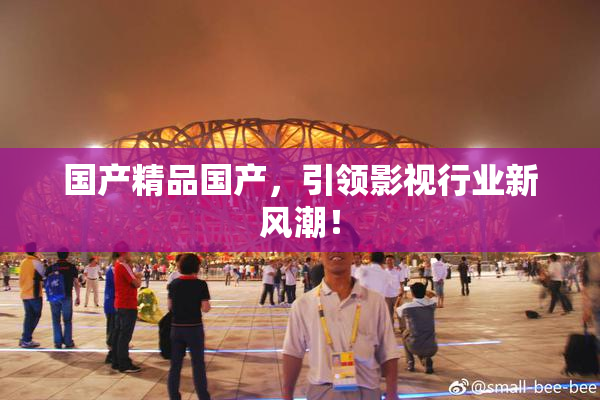 国产精品国产，引领影视行业新风潮！