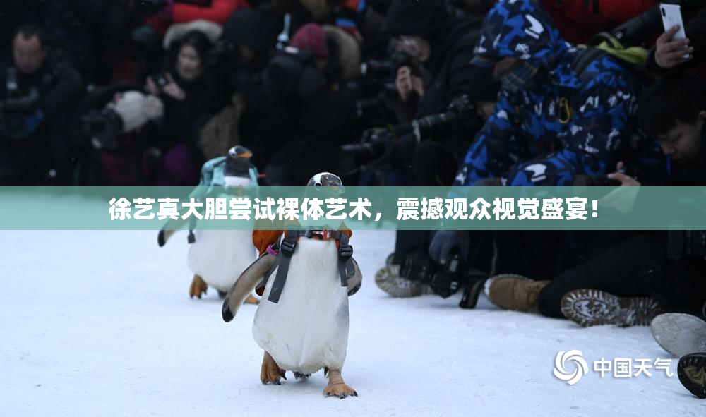 徐艺真大胆尝试裸体艺术，震撼观众视觉盛宴！
