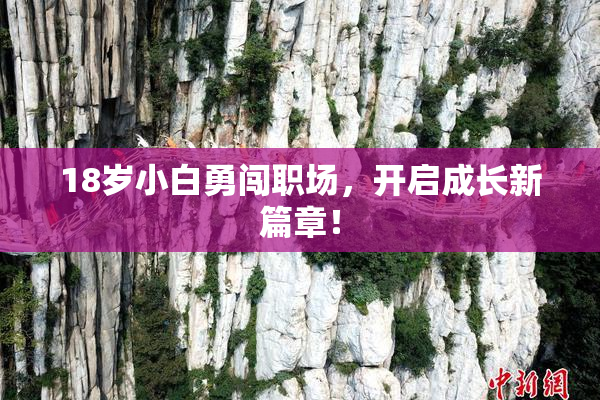 18岁小白勇闯职场，开启成长新篇章！