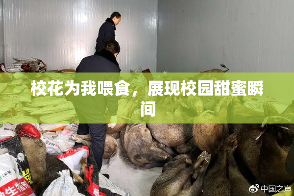 校花为我喂食，展现校园甜蜜瞬间