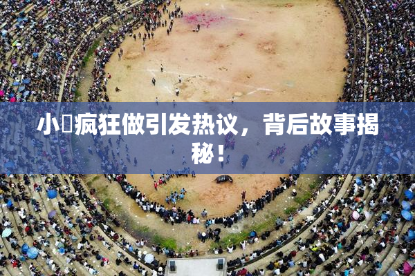 小泬疯狂做引发热议，背后故事揭秘！