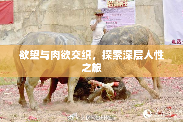 欲望与肉欲交织，探索深层人性之旅