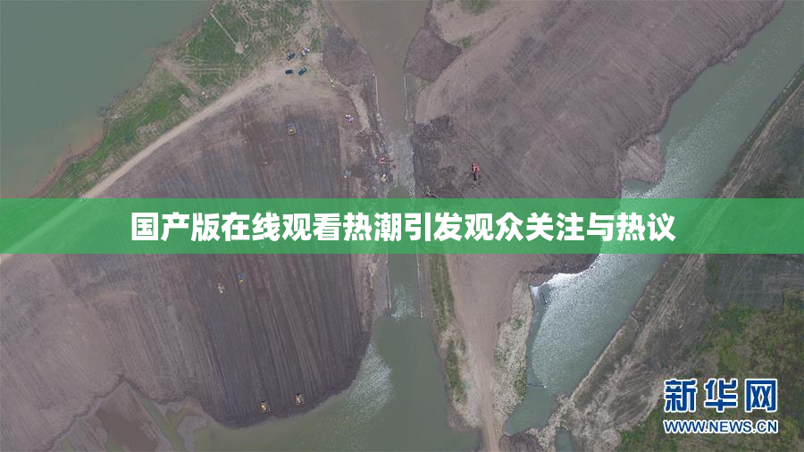 国产版在线观看热潮引发观众关注与热议