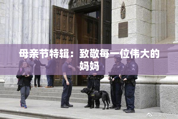 母亲节特辑：致敬每一位伟大的妈妈