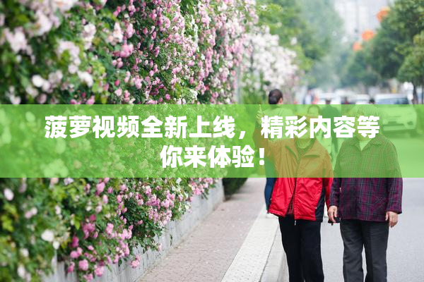 菠萝视频全新上线，精彩内容等你来体验！
